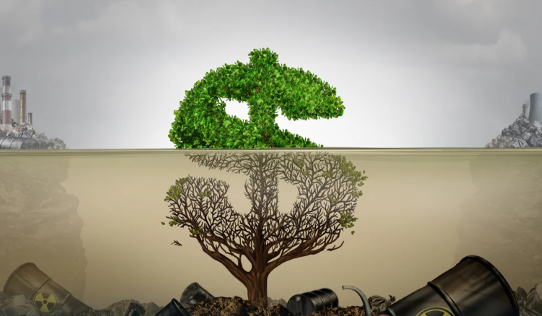 What is Greenwashing?
