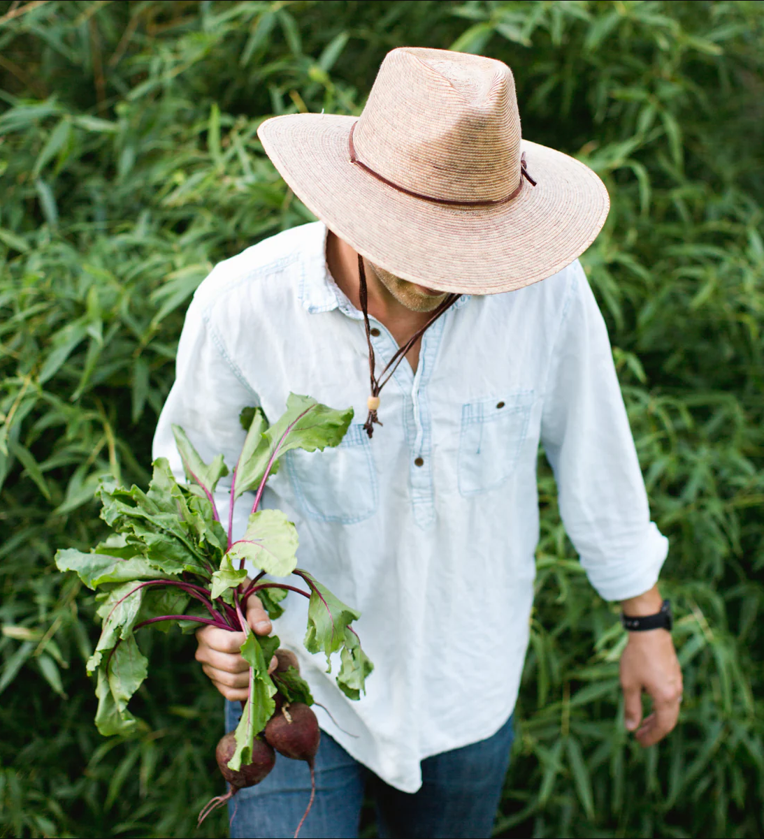 Design Your Home Like a Gardener